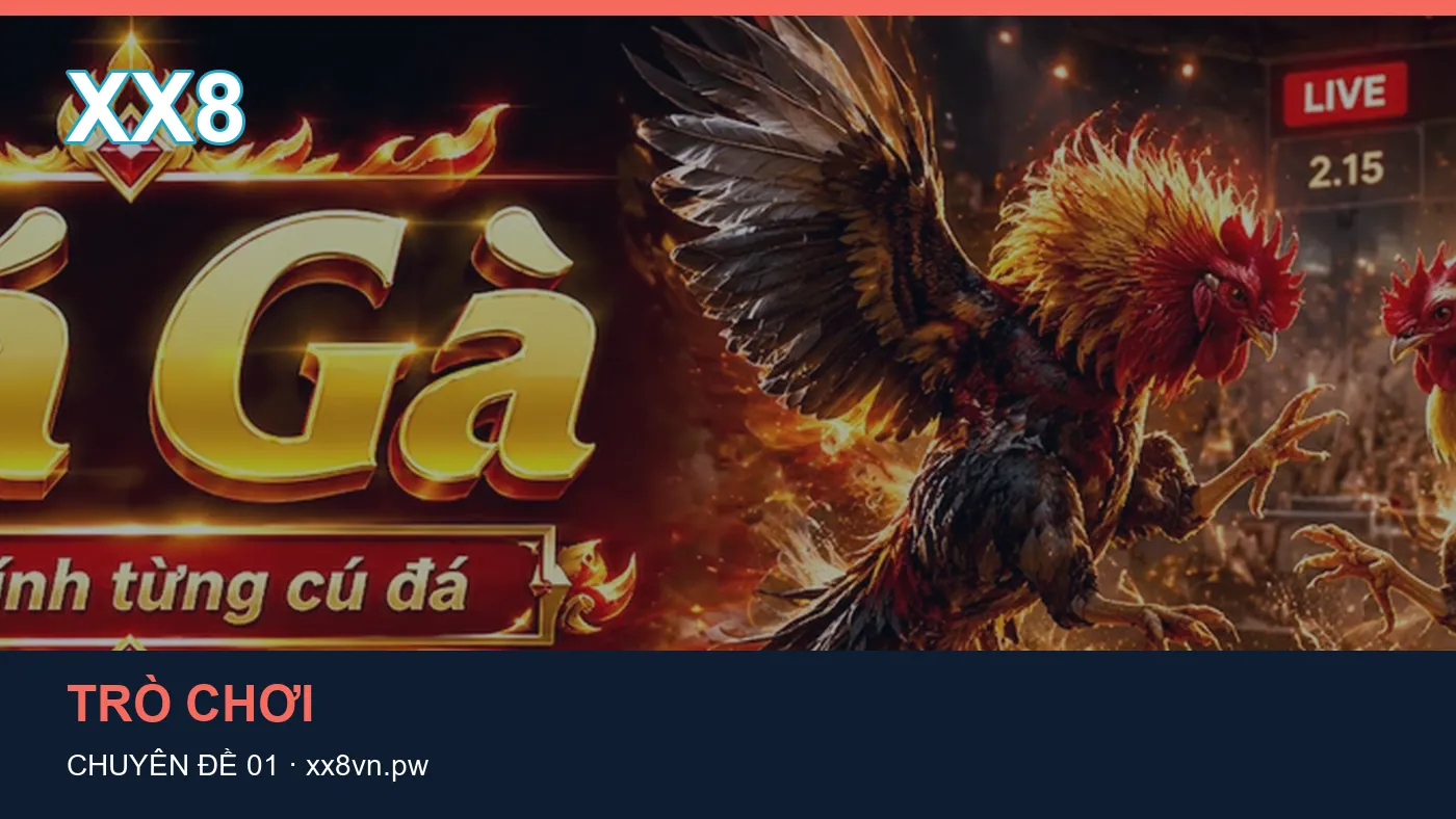 Danh sách kiểm tra thông tin Game bài dành cho người đọc XX8 | xx8vn.pw